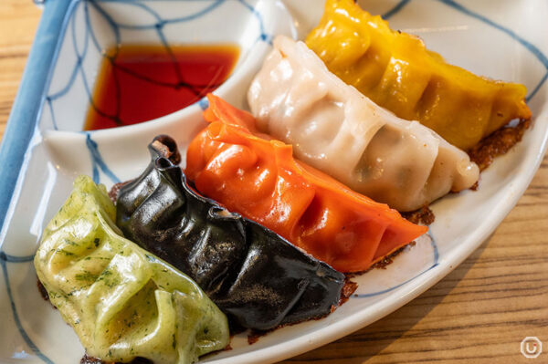 Combo de Gyozas a la plancha